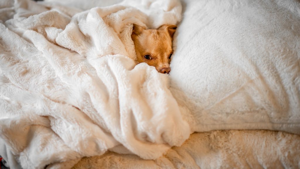Do I Really Need A Morning Routine
