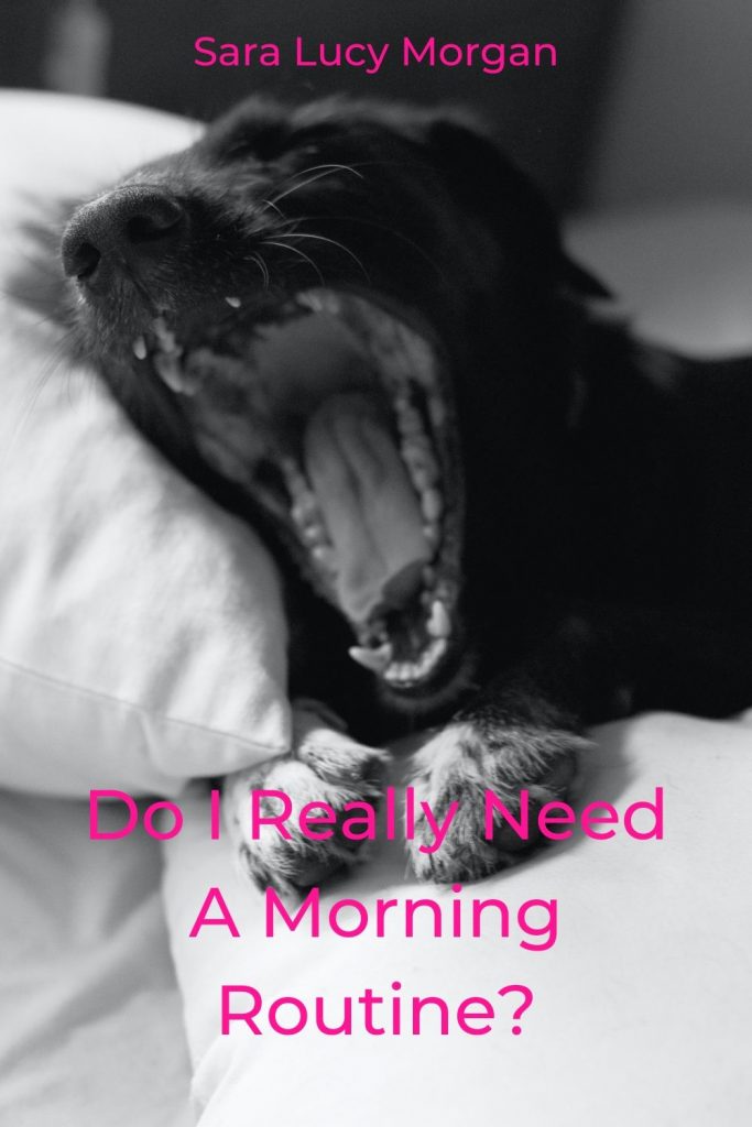 Do I really need a morning routine? - Dog yawning.