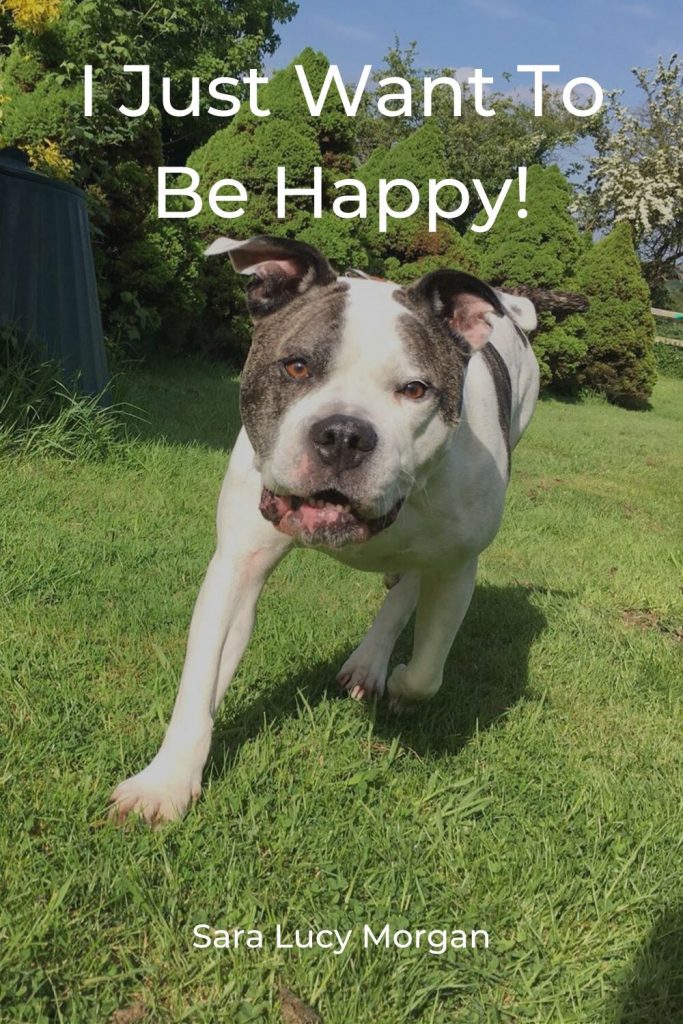I just want to be happy - Winston running towards the camera