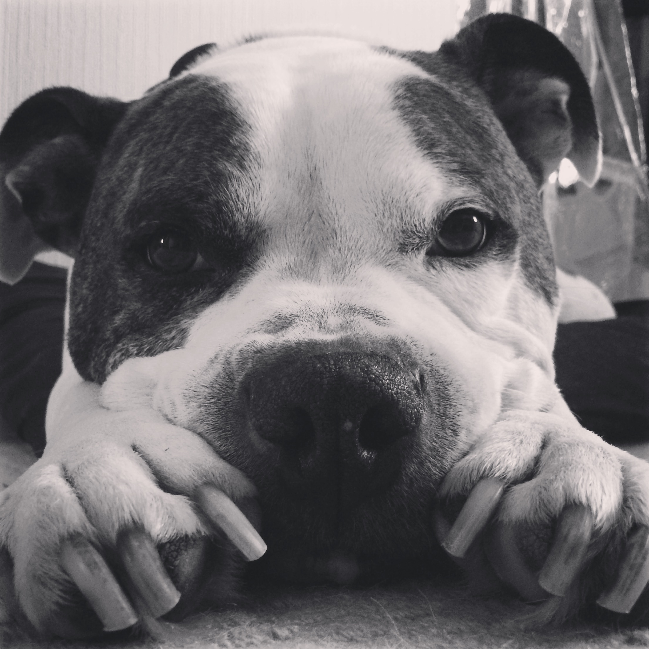 Winston Winston