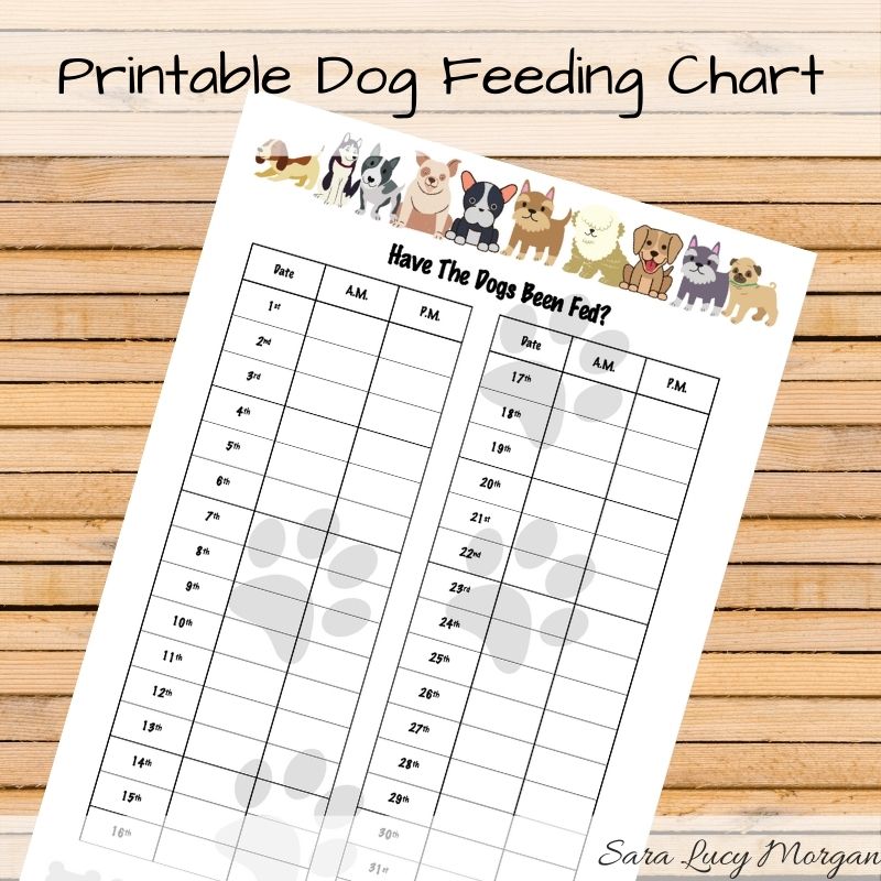 Monthly Printable Feeding Chart For Your Dogs Sara Lucy